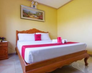 Reddoorz Plus @ Manalo Extension Road