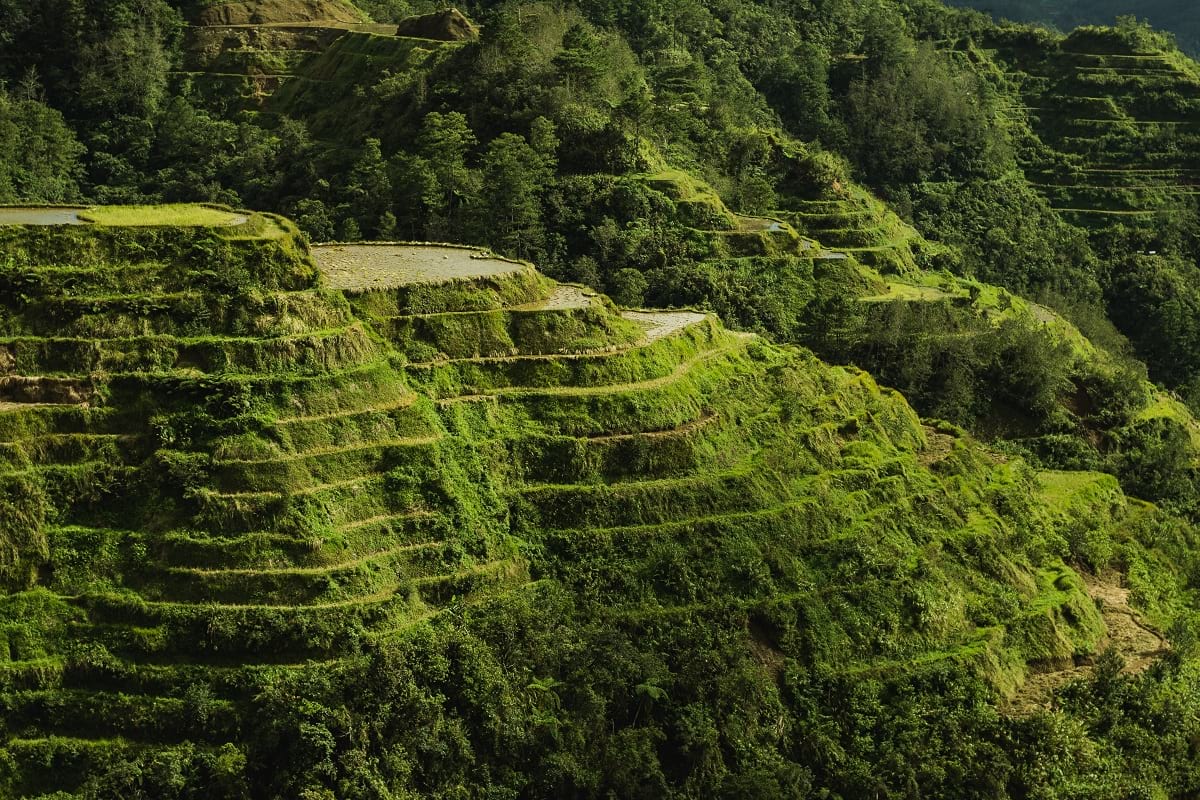 Rijstterrassen van de Filipijnse Cordilleras